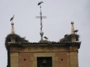 Haciendo equilibrios. Bijuesca, Zaragoza